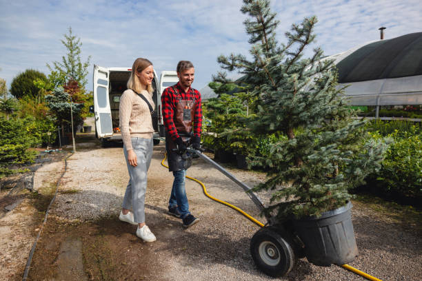 Best Local Tree Services  in Hamburg, NJ